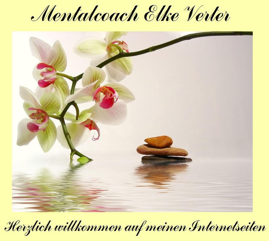Orchidee